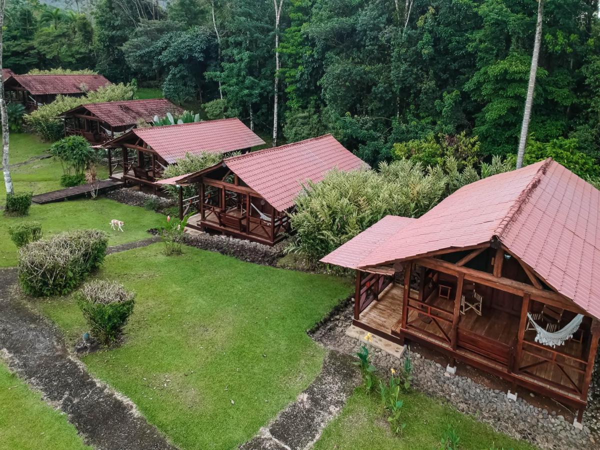 La Anita Rain Forest Colonia Dos Ríos Εξωτερικό φωτογραφία