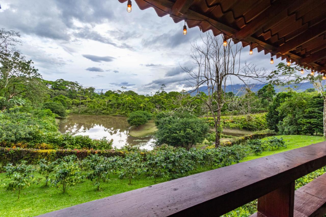 La Anita Rain Forest Colonia Dos Ríos Εξωτερικό φωτογραφία