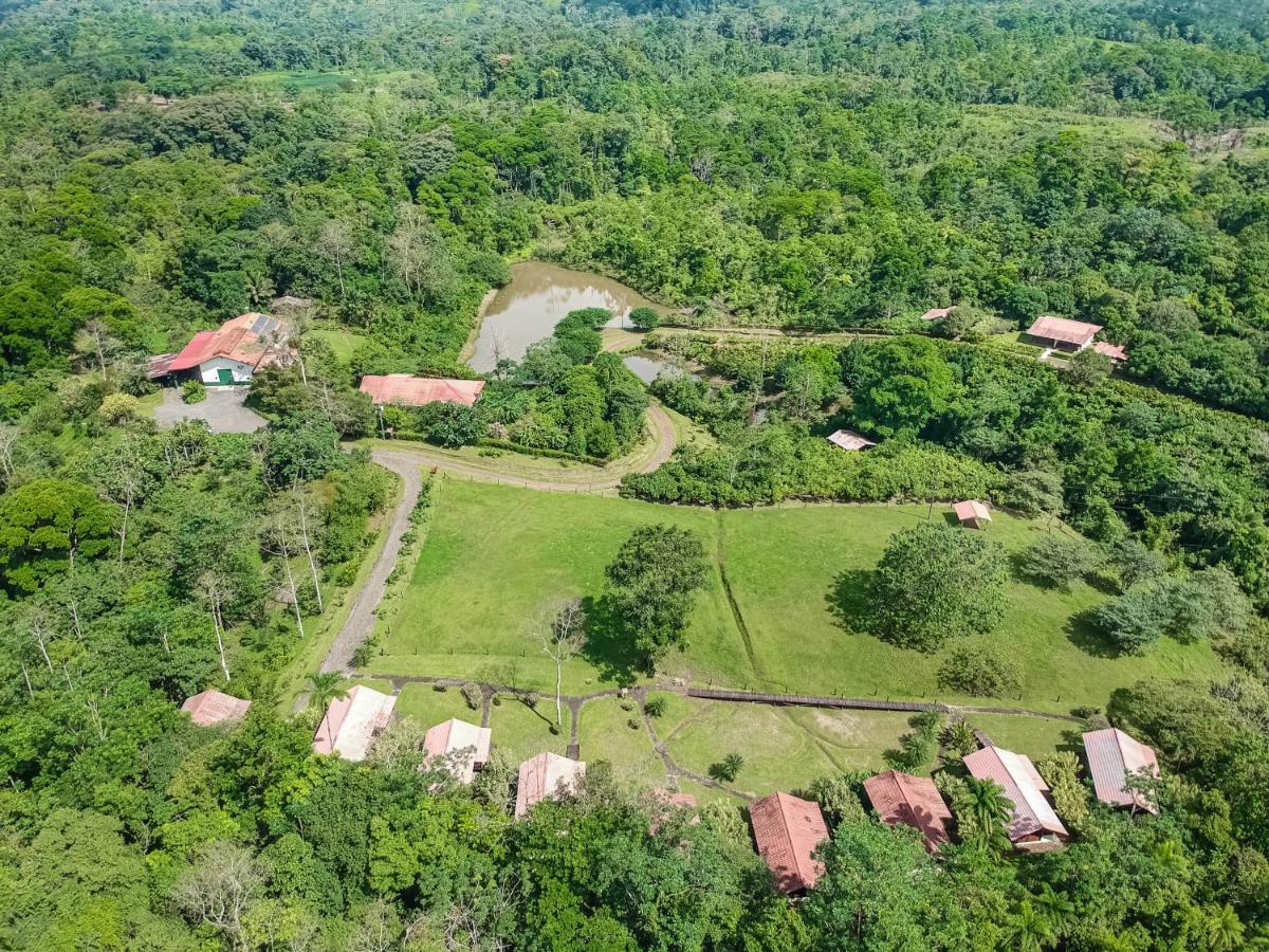 La Anita Rain Forest Colonia Dos Ríos Εξωτερικό φωτογραφία