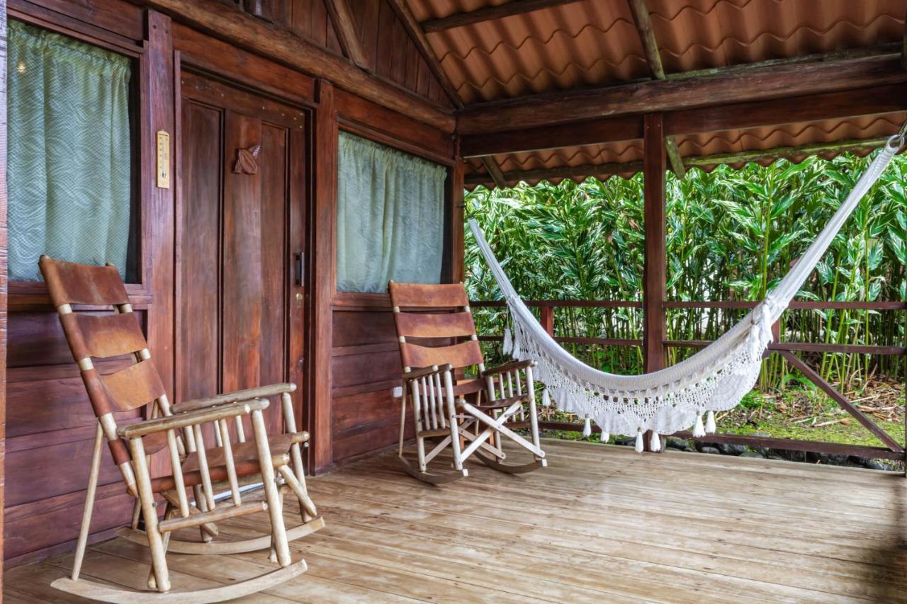 La Anita Rain Forest Colonia Dos Ríos Εξωτερικό φωτογραφία