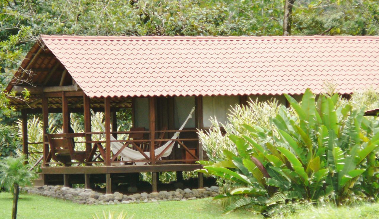 La Anita Rain Forest Colonia Dos Ríos Εξωτερικό φωτογραφία