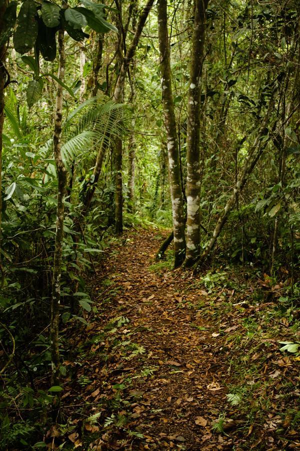 La Anita Rain Forest Colonia Dos Ríos Εξωτερικό φωτογραφία