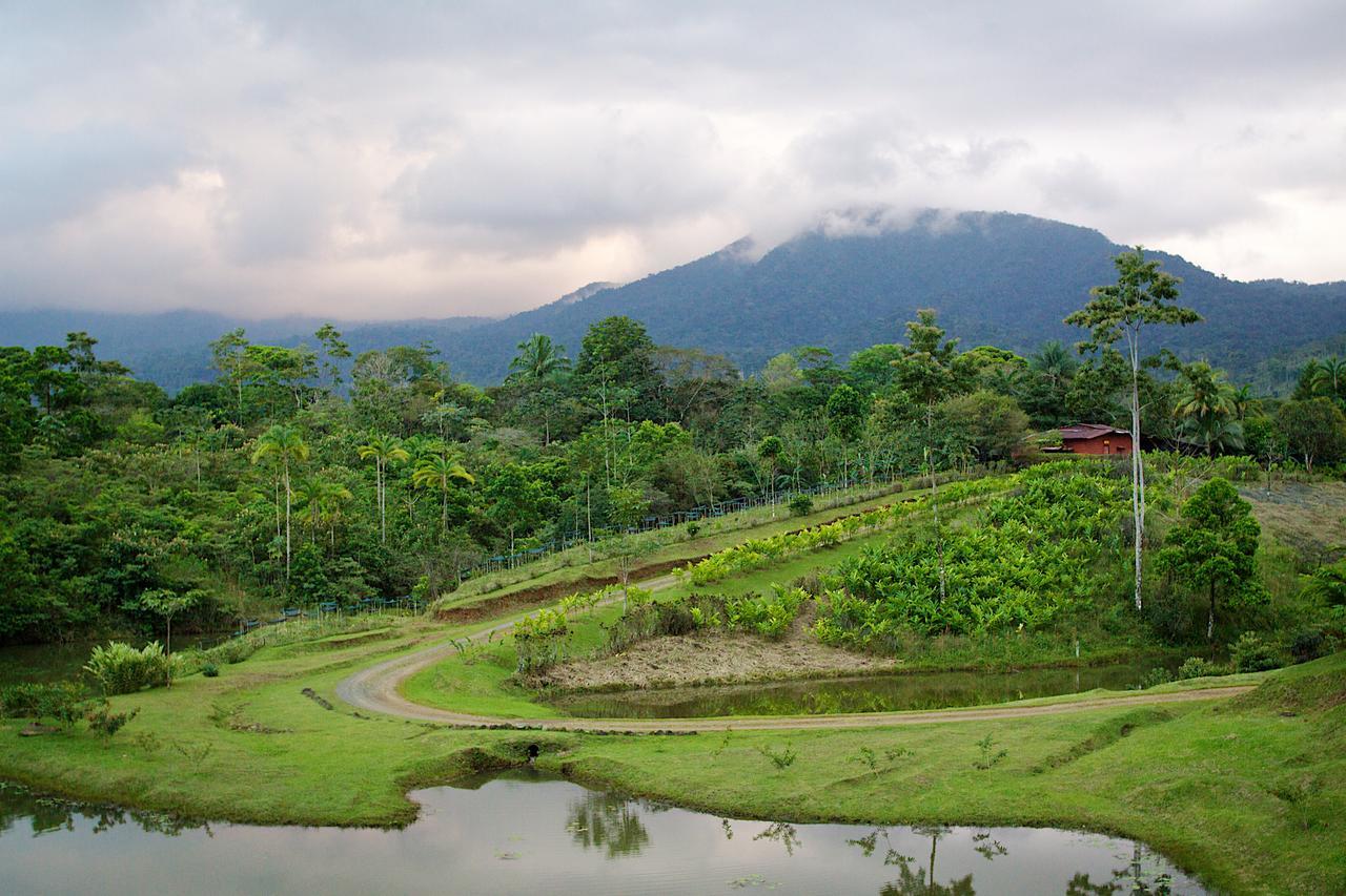 La Anita Rain Forest Colonia Dos Ríos Εξωτερικό φωτογραφία