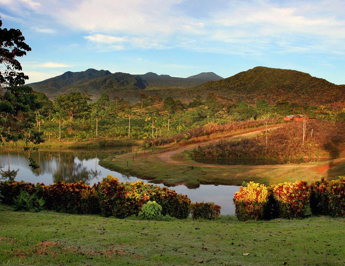 La Anita Rain Forest Colonia Dos Ríos Εξωτερικό φωτογραφία