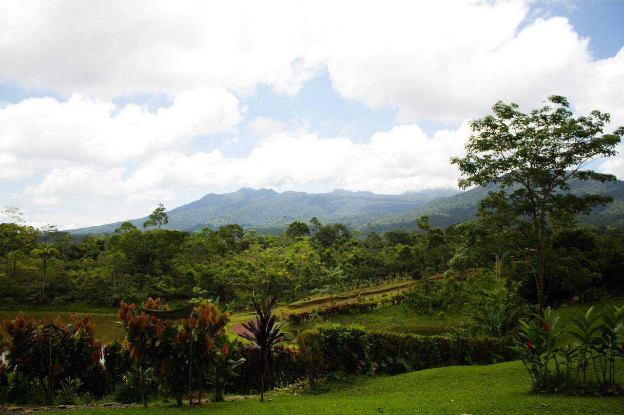 La Anita Rain Forest Colonia Dos Ríos Εξωτερικό φωτογραφία