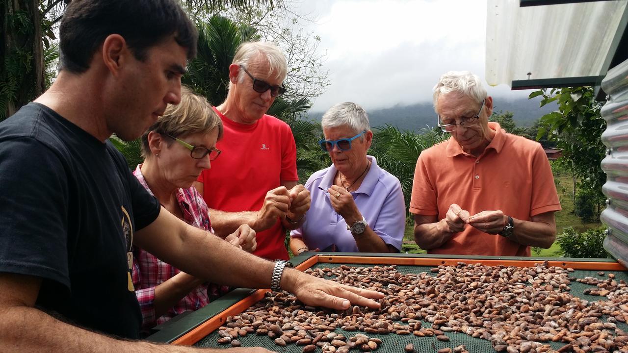 La Anita Rain Forest Colonia Dos Ríos Εξωτερικό φωτογραφία