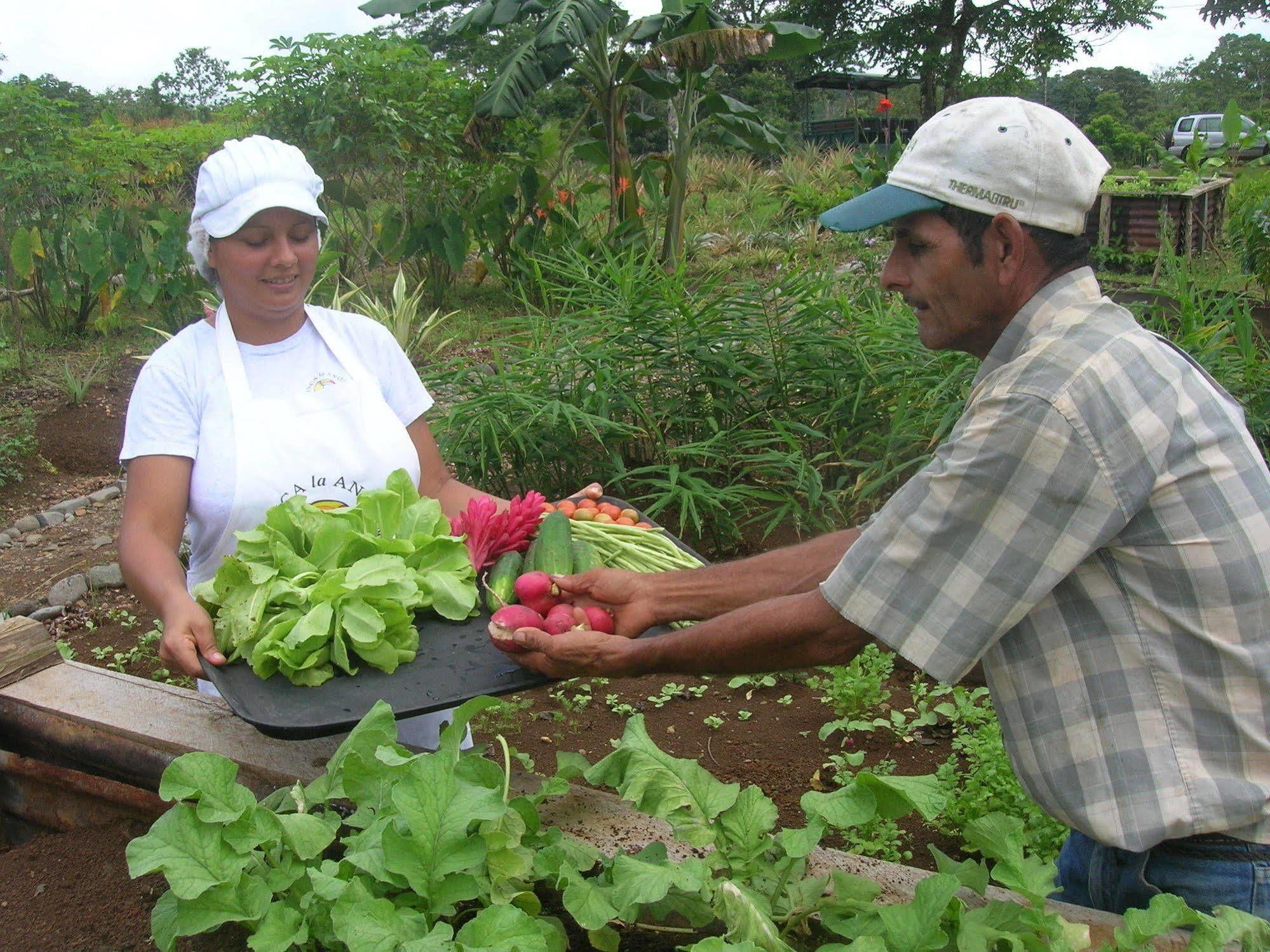 La Anita Rain Forest Colonia Dos Ríos Εξωτερικό φωτογραφία
